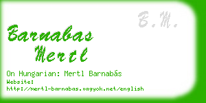 barnabas mertl business card